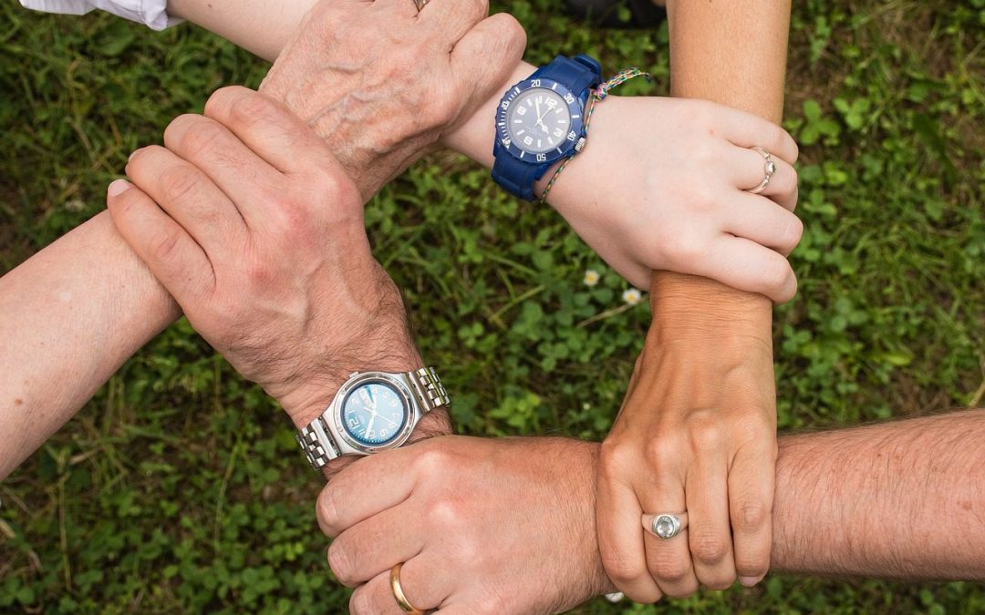 Beer Wholesalers: Navigating the Transition to the Next Generation