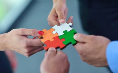 The Power of Networks: How to Run a Better Beer Business