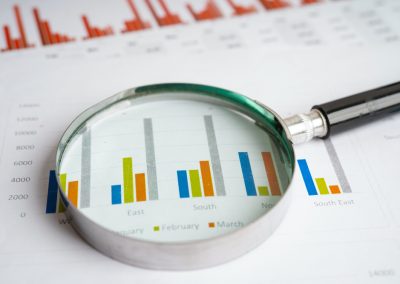 Wholesaler Financial Analysis Templates