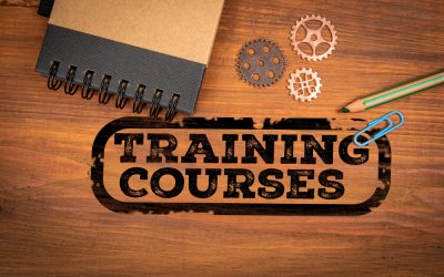 How to Build a Wholesaler Financial Training System